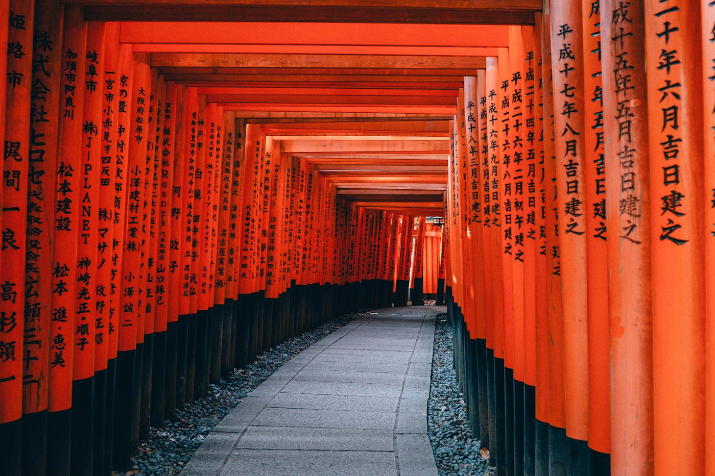 A path through vermilion torii gates