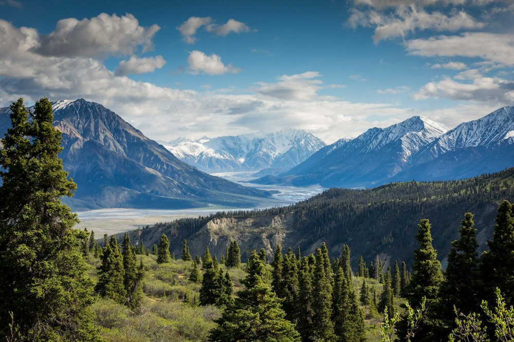 Snow-covered mountains above a wide valley and pine forest