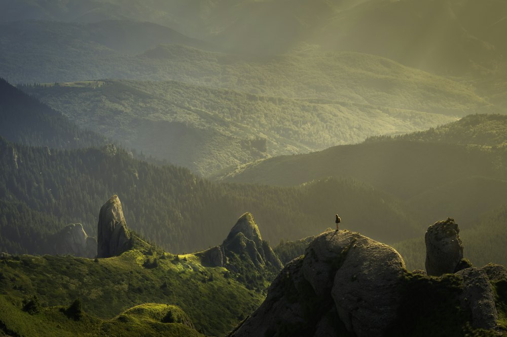 A lone figure standing on a rock in a green, misty valley